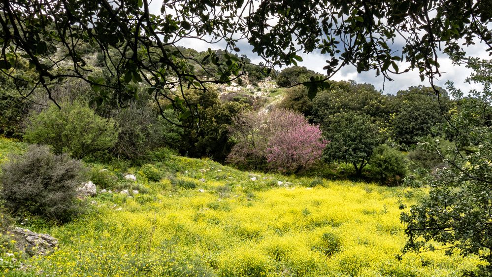 Photograph by Lev Tsenter