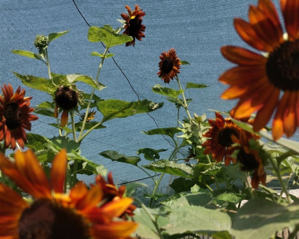 Photograph by Анастасия