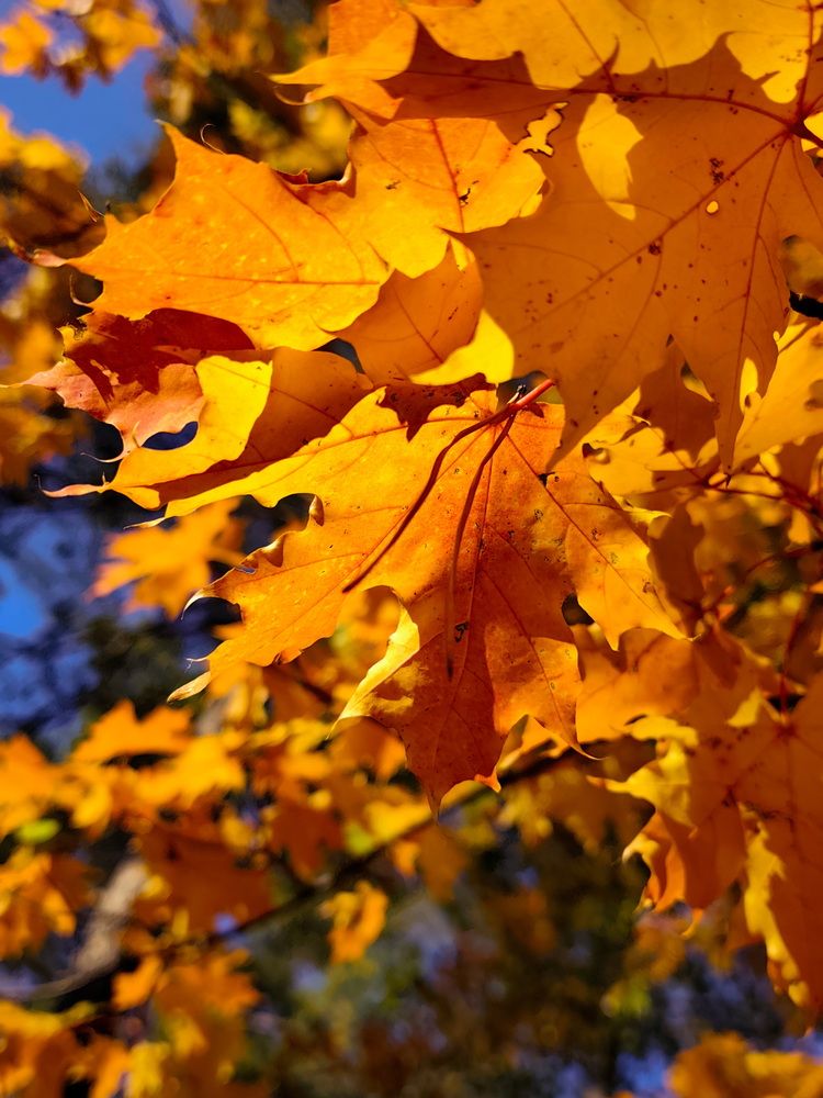 Фотография автора Юрий Звонарев
