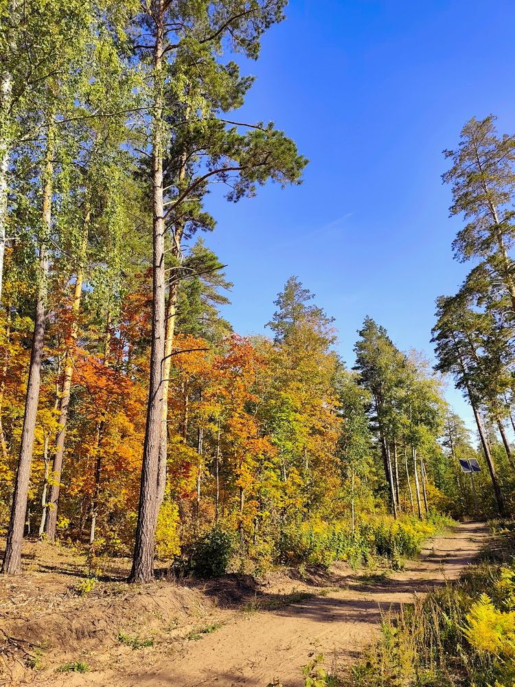 Фотография автора Юрий Звонарев