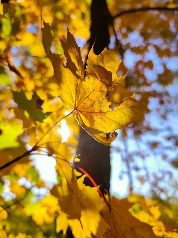 Фотография автора Юрий Звонарев
