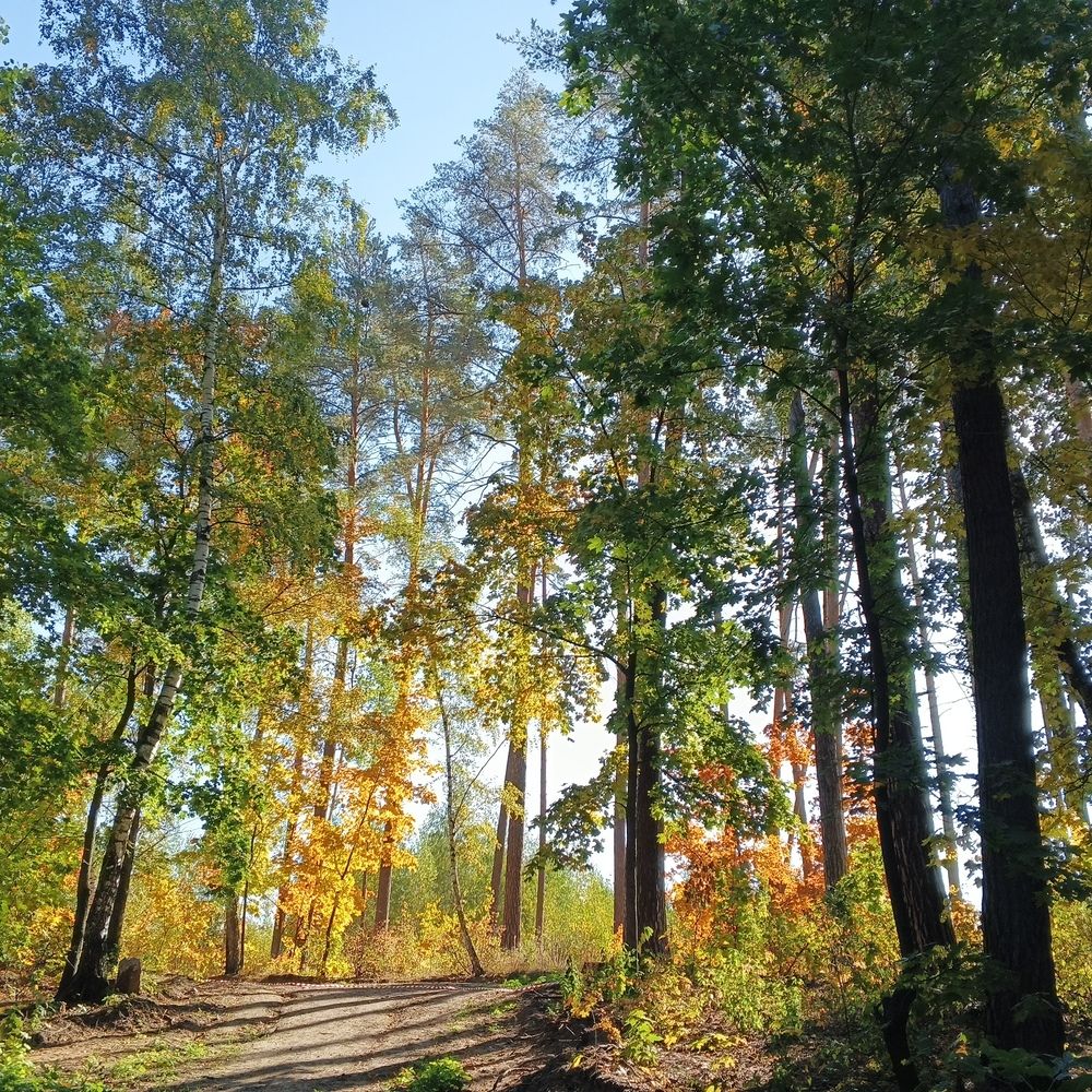 Фотография автора Юрий Звонарев