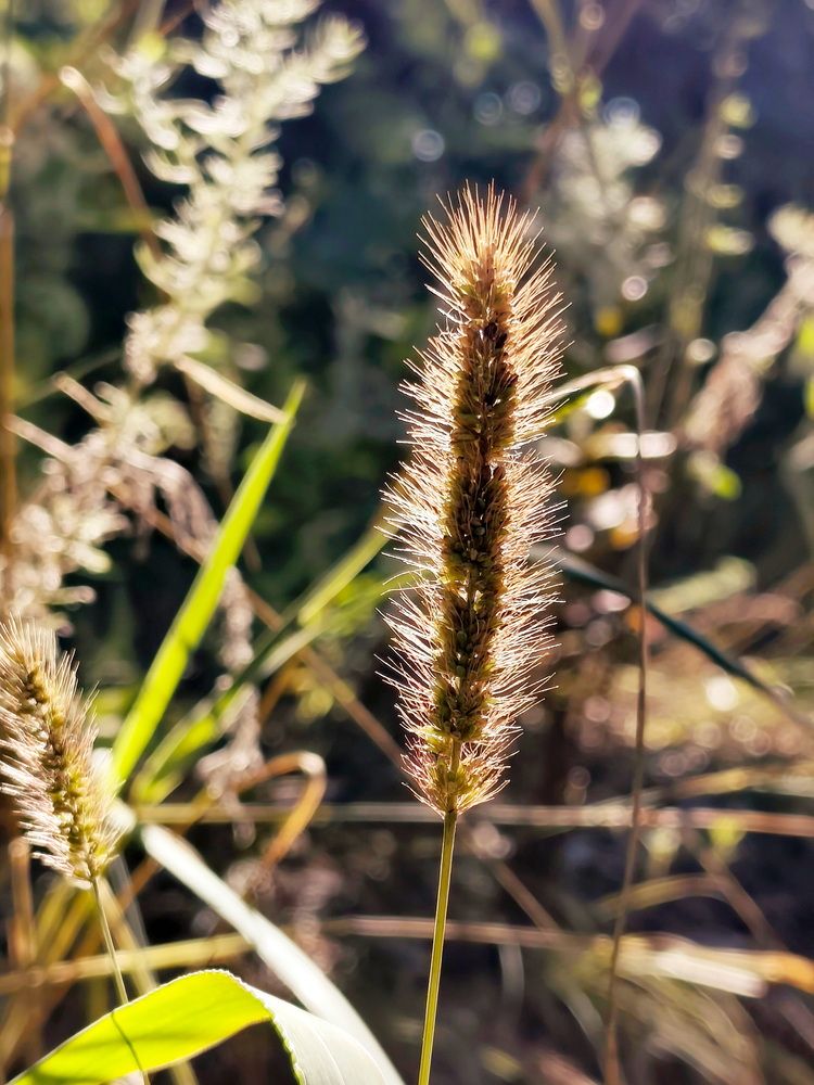 Фотография автора Юрий Звонарев