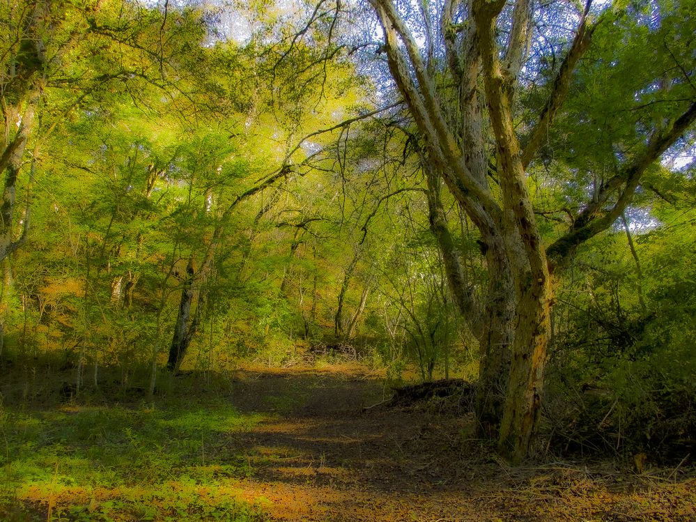 Photograph by Михаил Еремеев