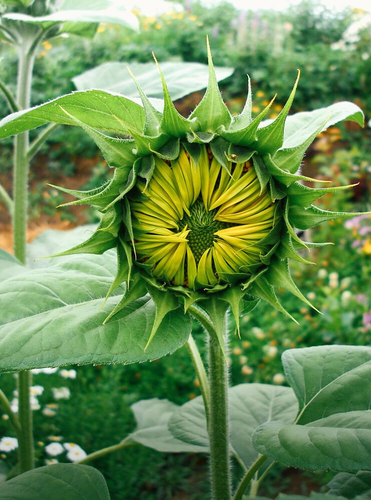 Photograph by Константин Громов