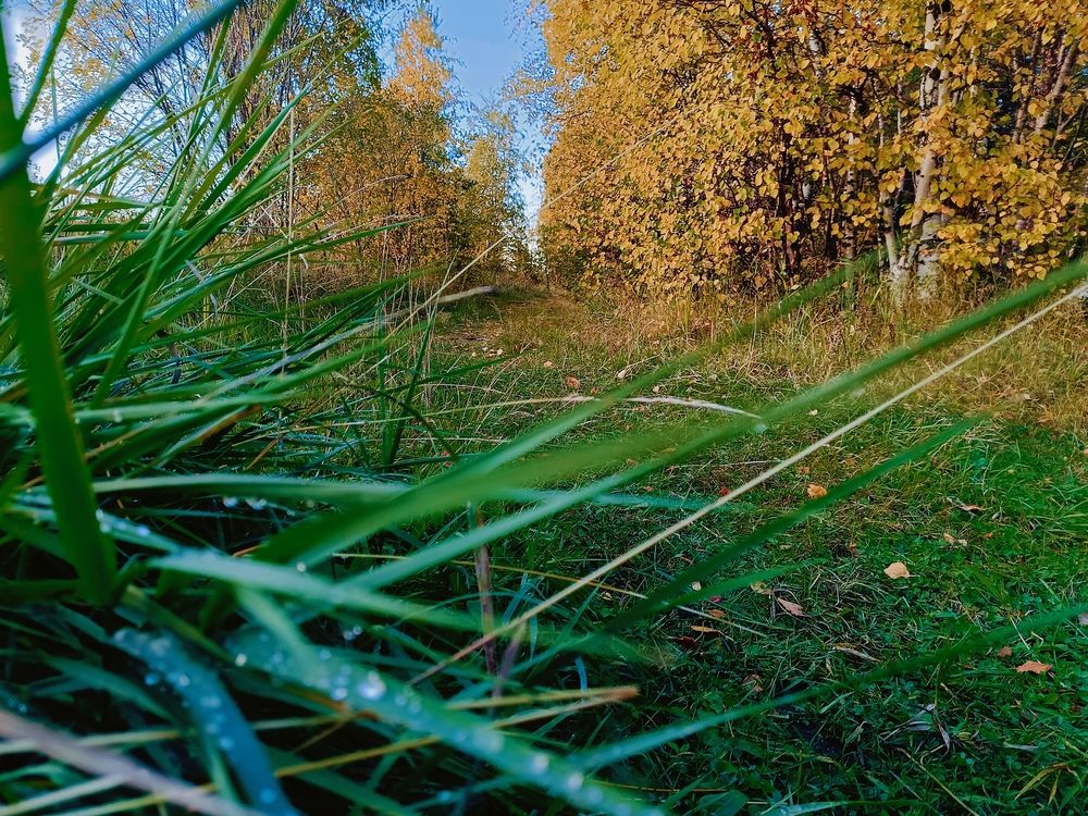 Photograph by Татьяна Бешенкина