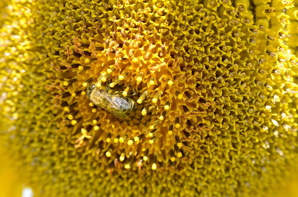 Photograph by Константин Громов