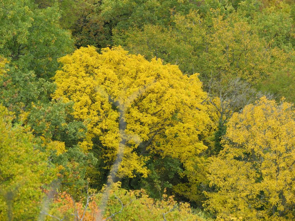 Photograph by Татьяна Стаскевич