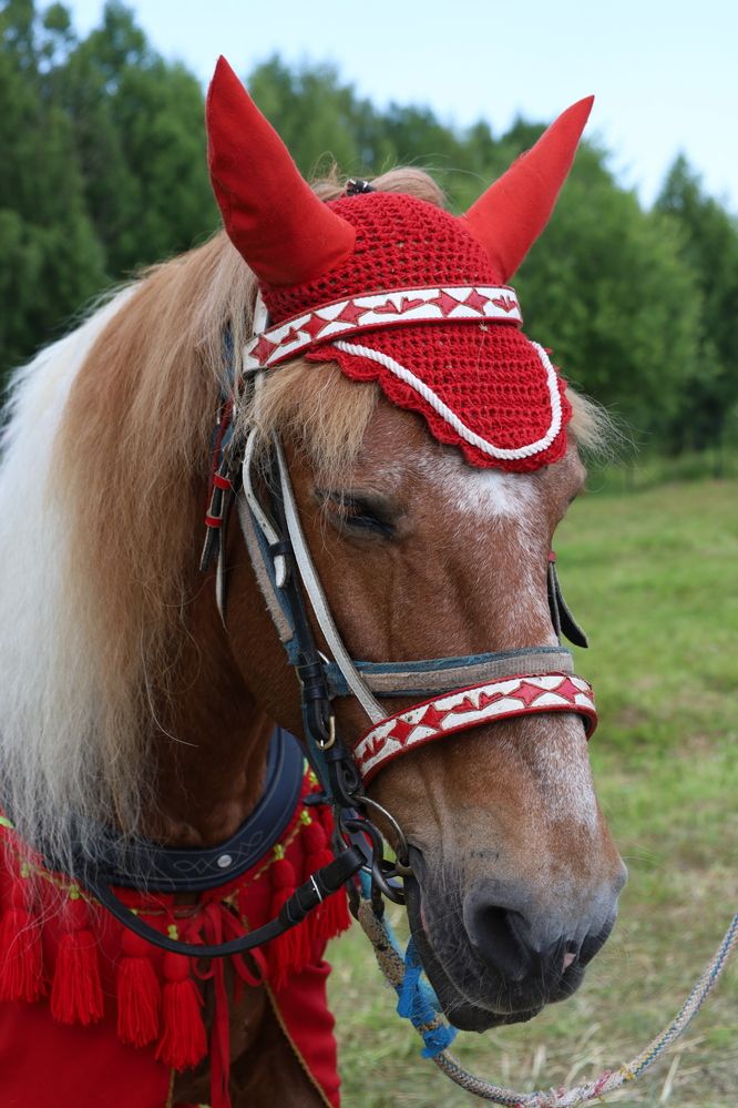 Красная шапочка