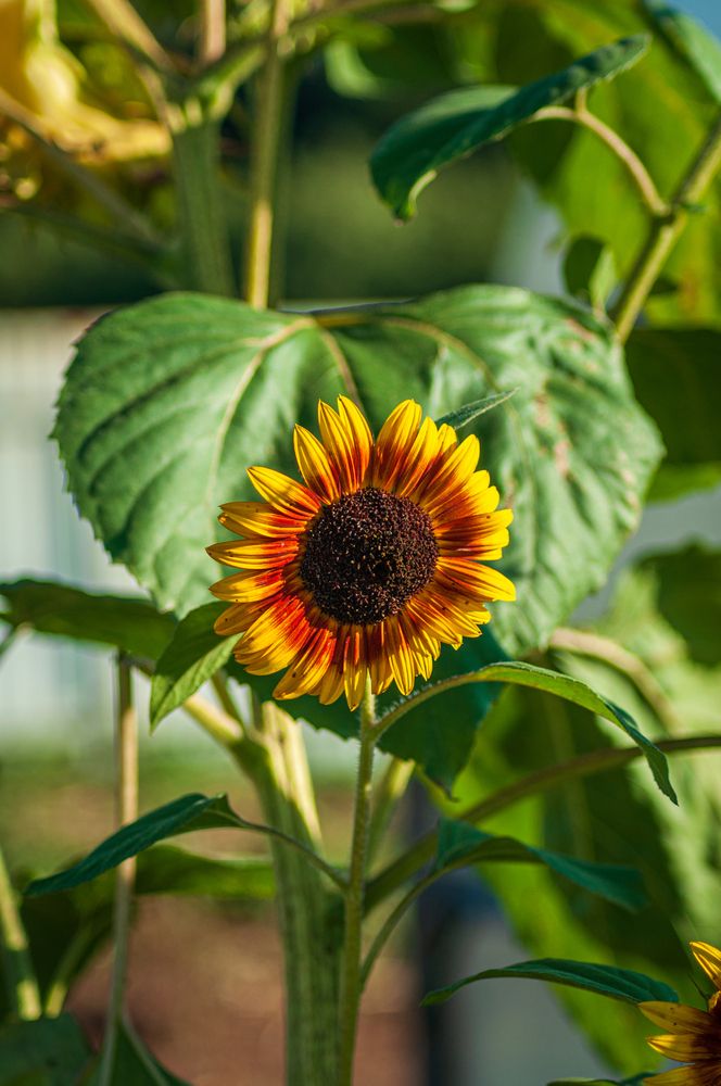 Photograph by Денис Кичев