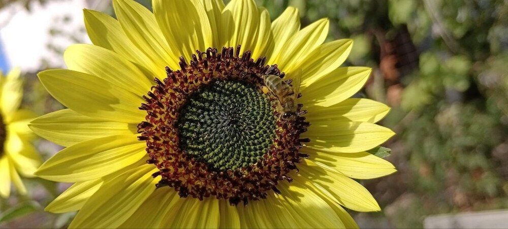 Photograph by Татьяна Стаскевич