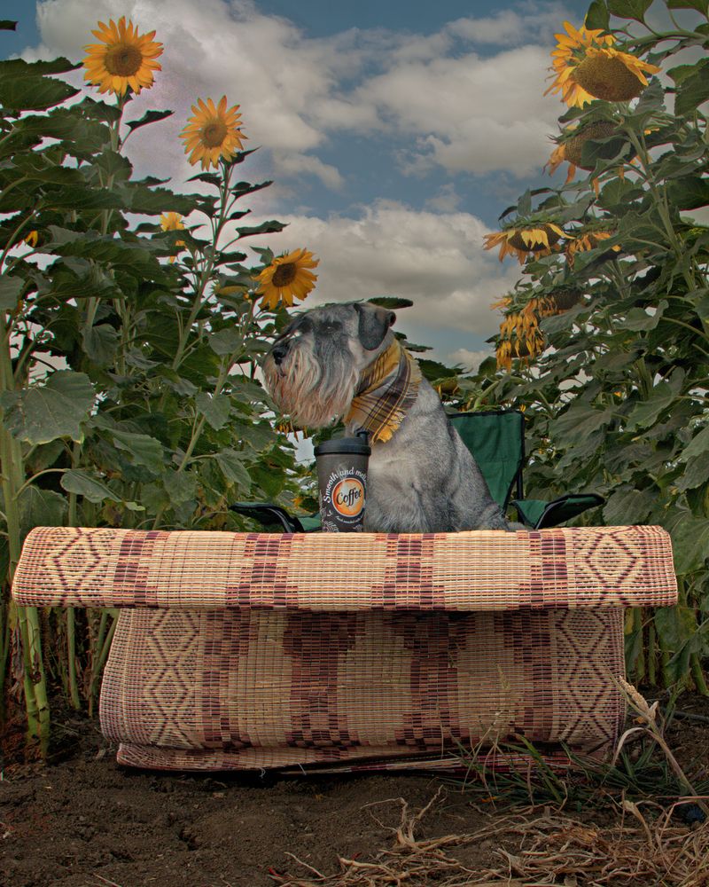 Photograph by Lev Tsenter