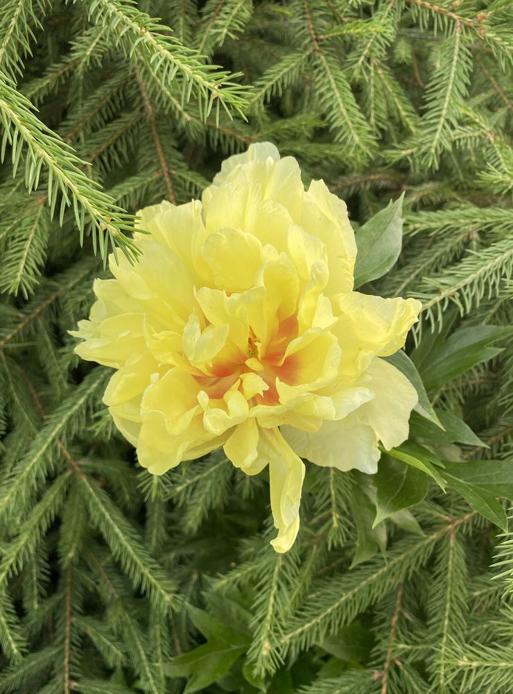 Photograph by Елена Осипова