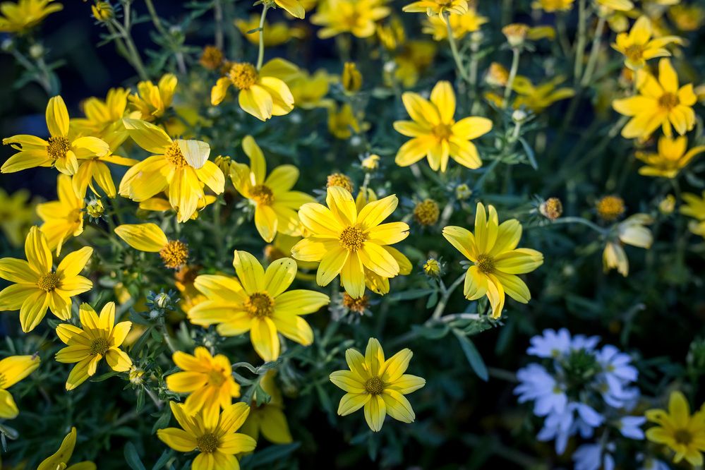 Photograph by Алексей Кацан