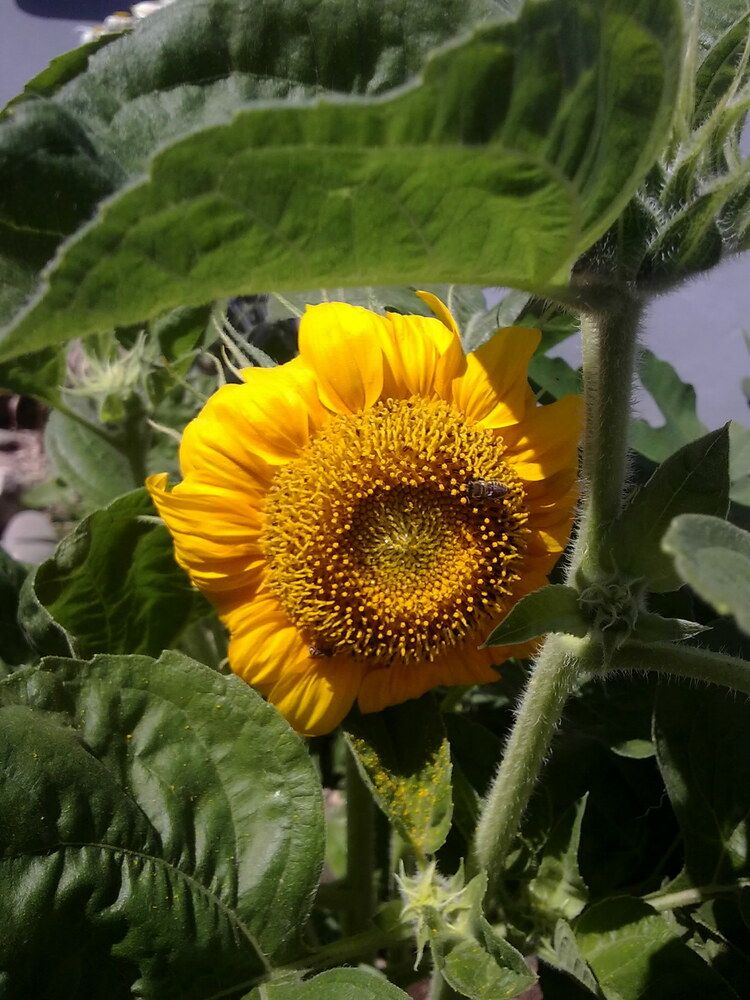 Photograph by Татьяна Стаскевич