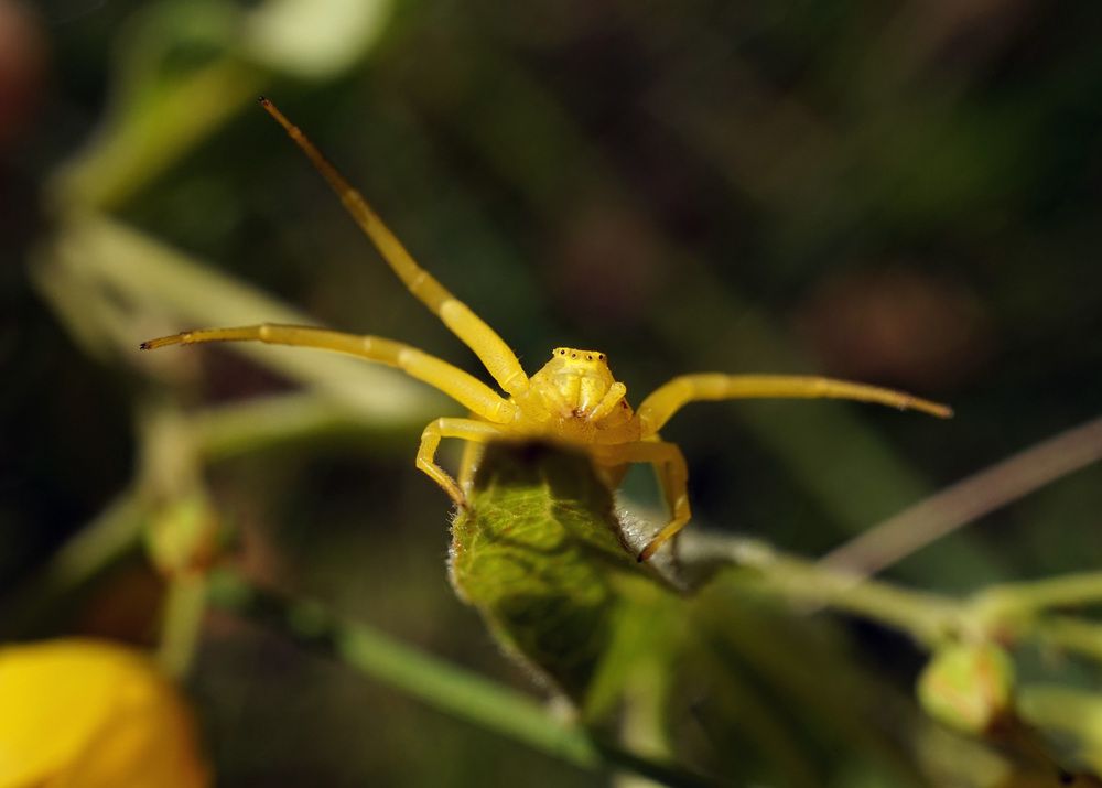 Photograph by Лена Максимкина