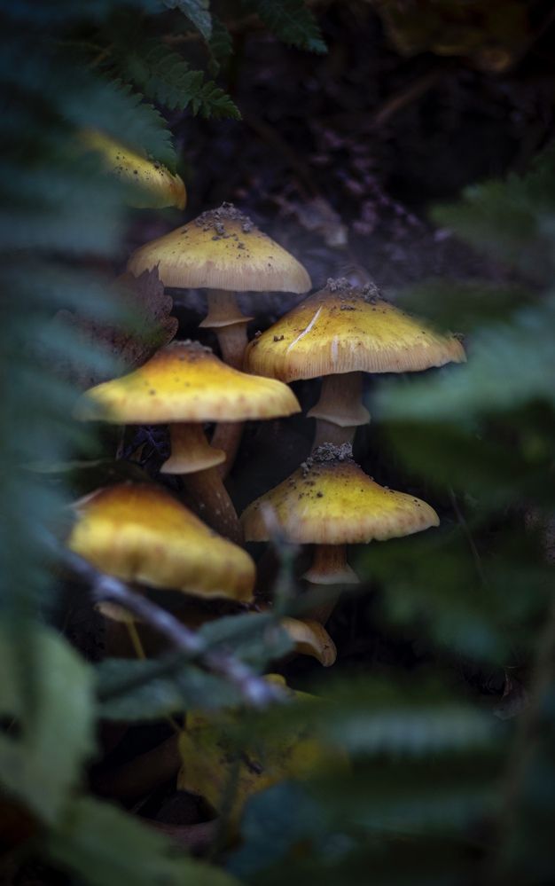 Photograph by Александр Арасланов