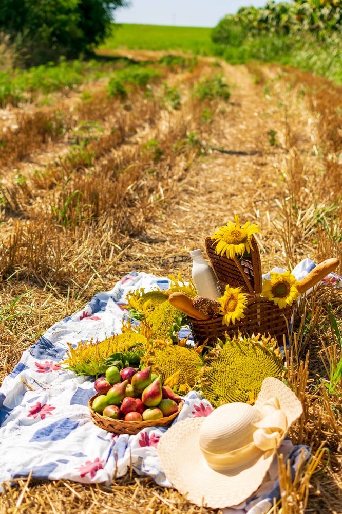 Photograph by Наталья Вялых