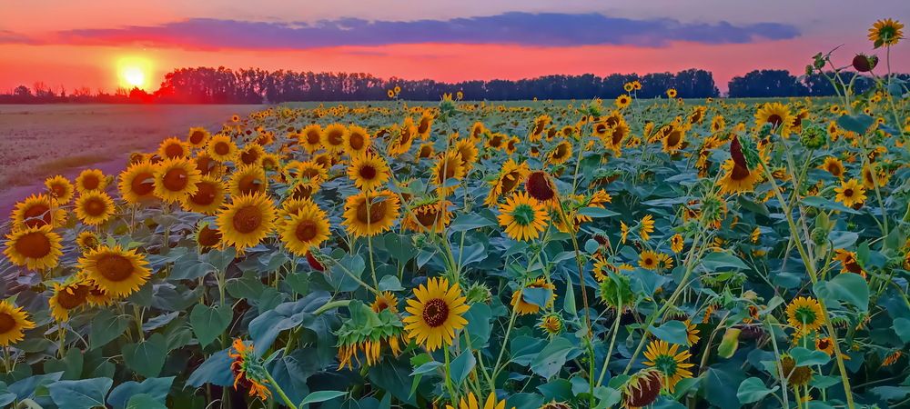 Фотография автора Сергей Кульков