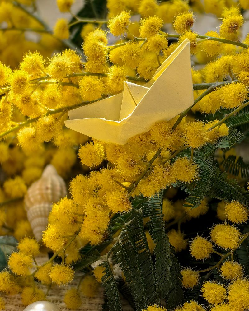 Photograph by Наталья Балабанова