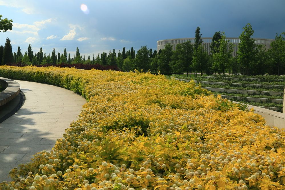 Фотография автора Сергей Кульков