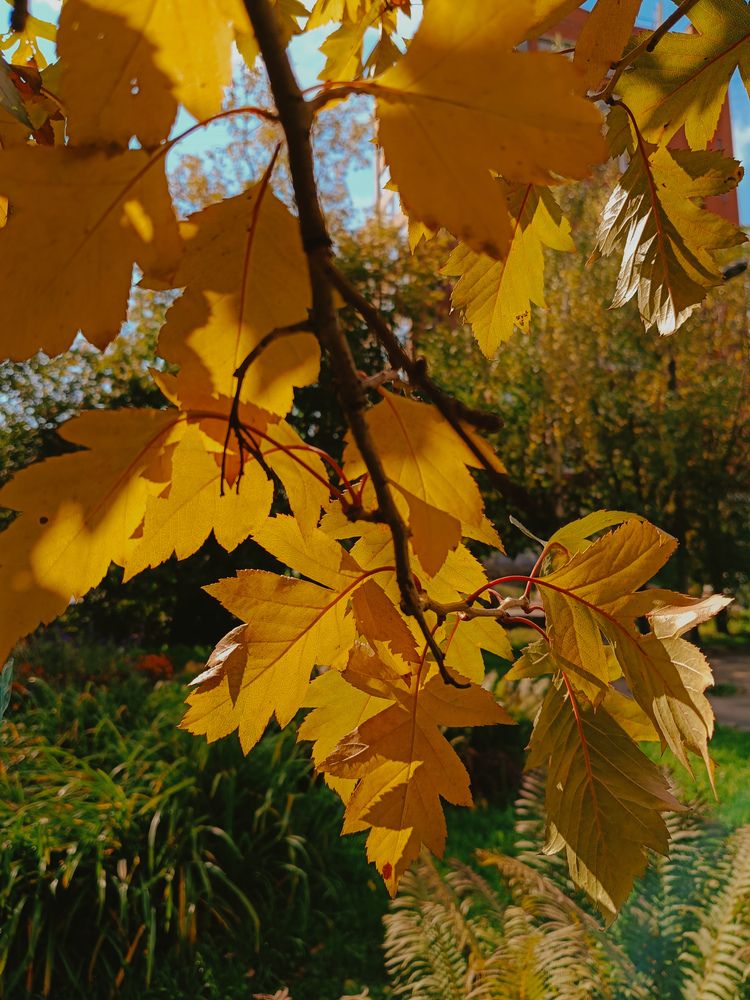 Photograph by Наталия Акимова