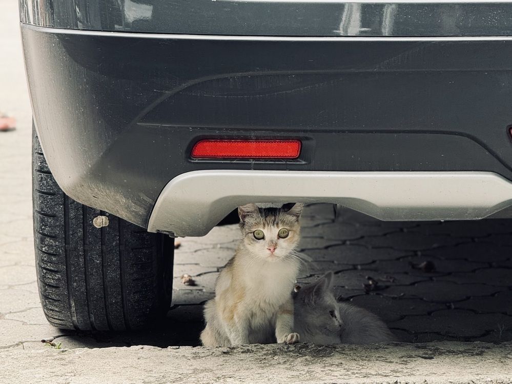 Фотография автора Sergei