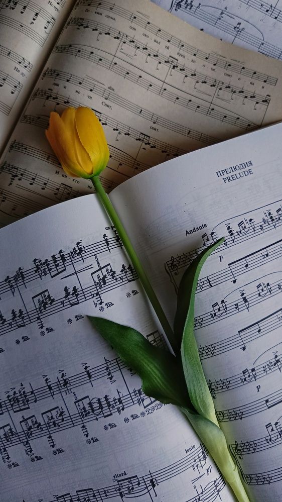 Photograph by Наталия Акимова