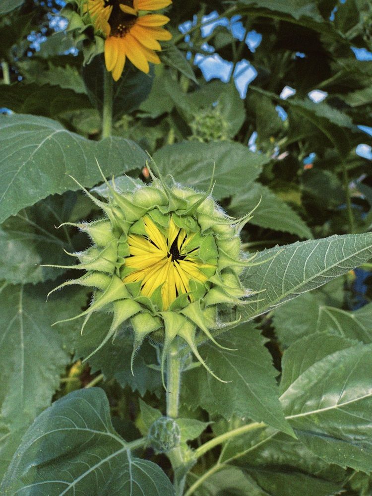 Photograph by Александра