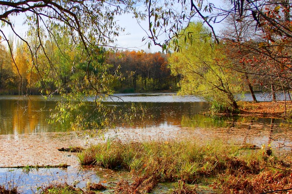 Photograph by Наталия Васильева