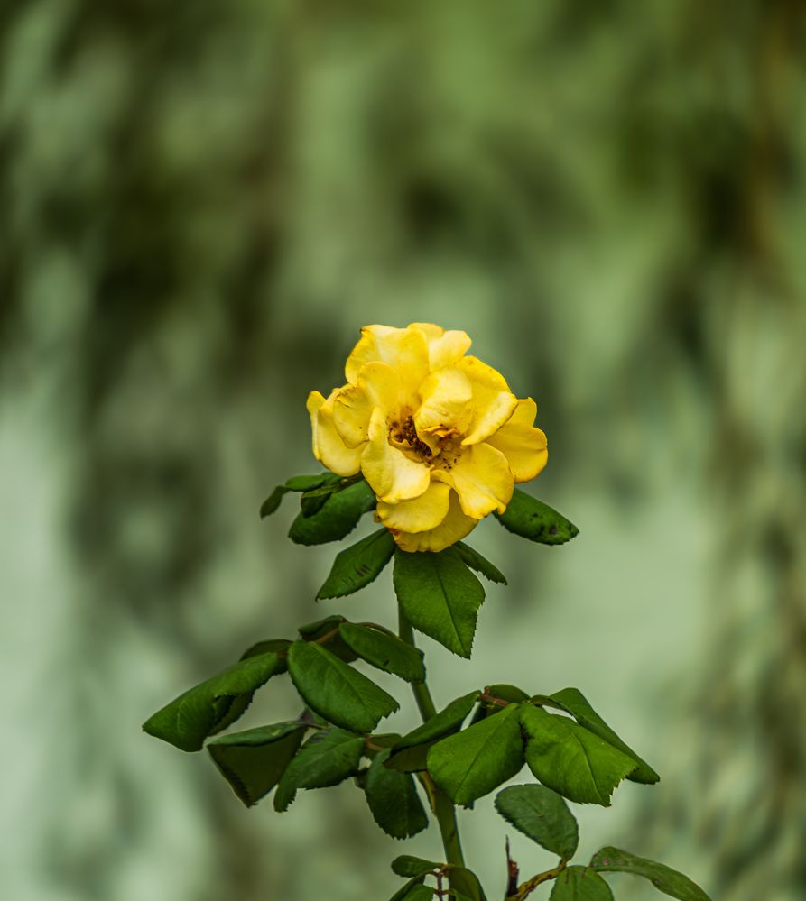 Photograph by Никита Борзов