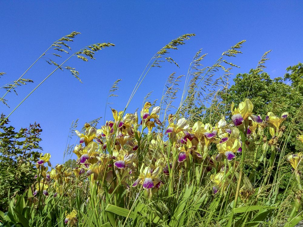 Фотография автора Татьяна Петренко