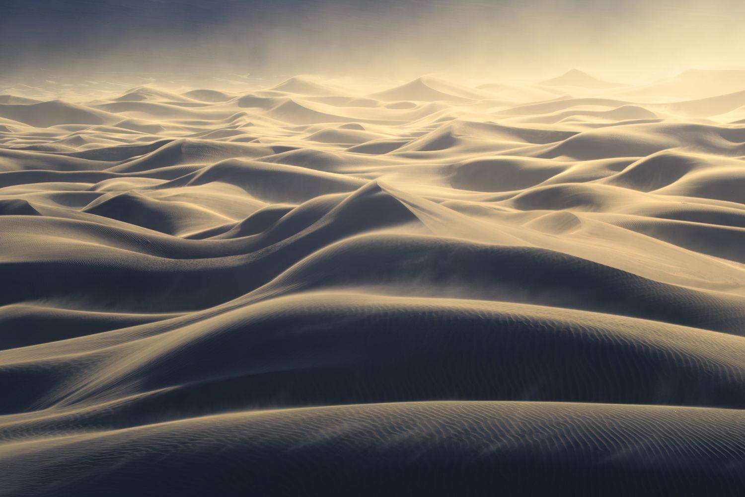 Фотография #12610758