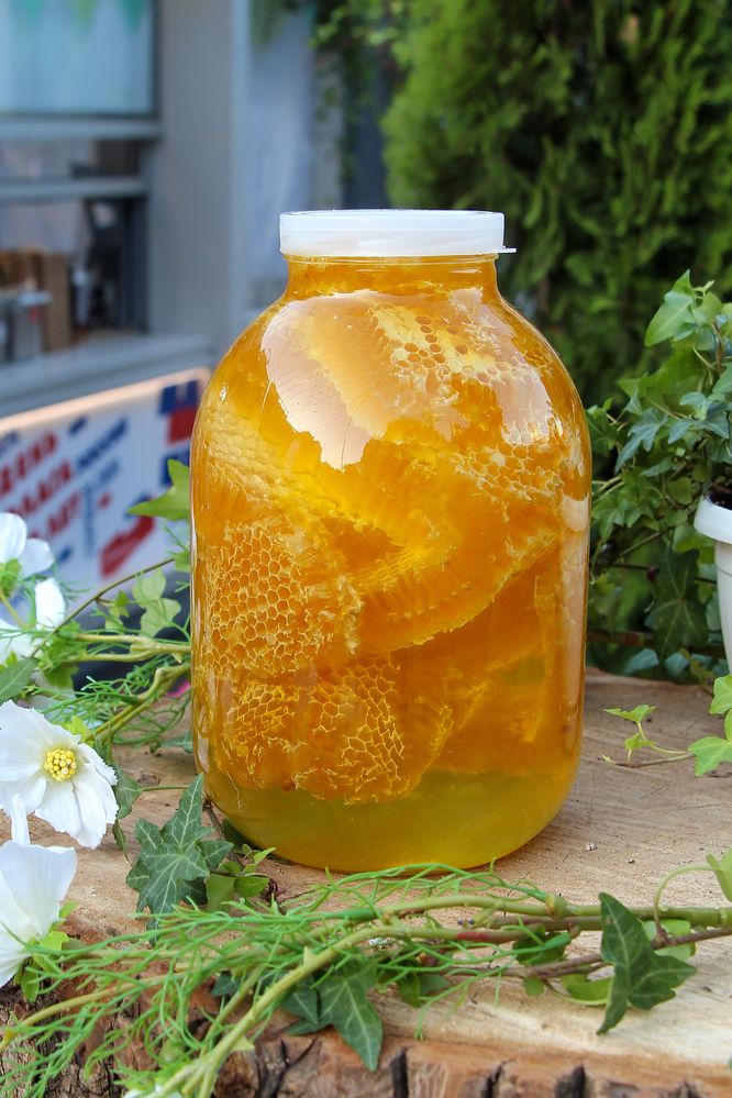 Photograph by Рыков Андрей