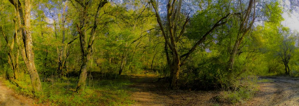 Photograph by Михаил Еремеев