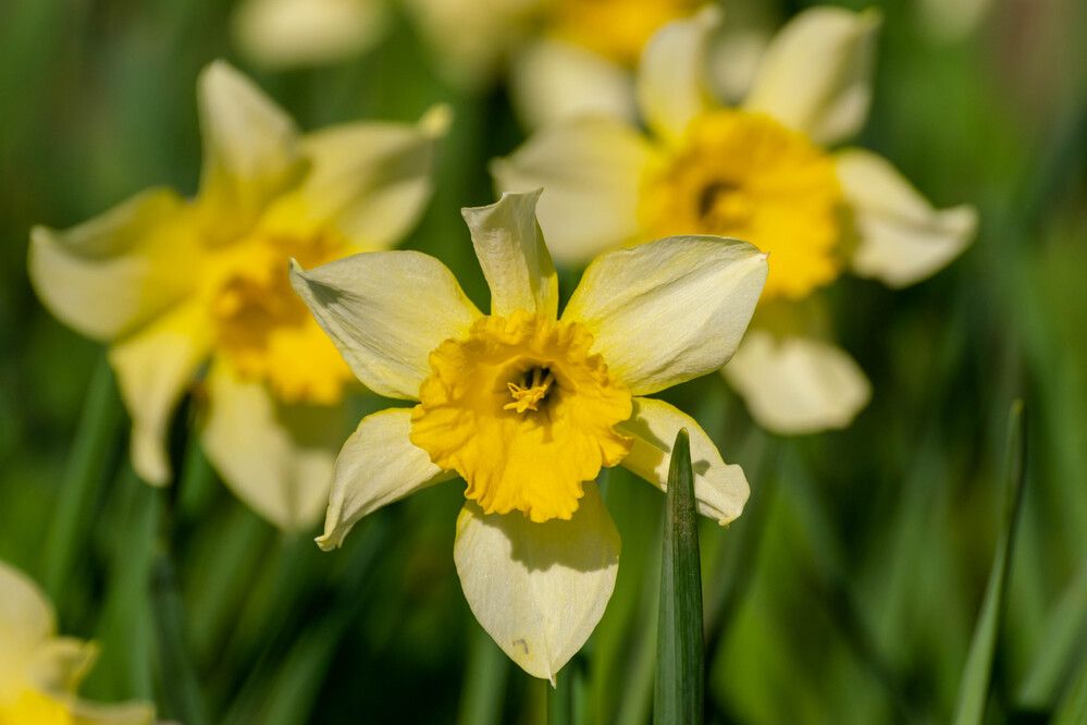 Photograph by Наталья Вялых