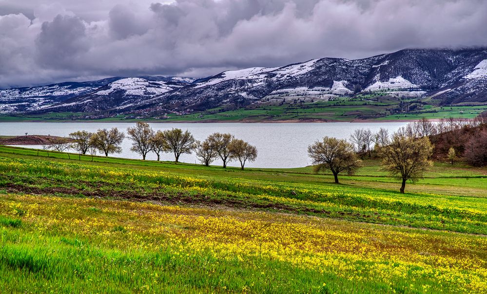 Фотография автора Mehmet Gokyigit