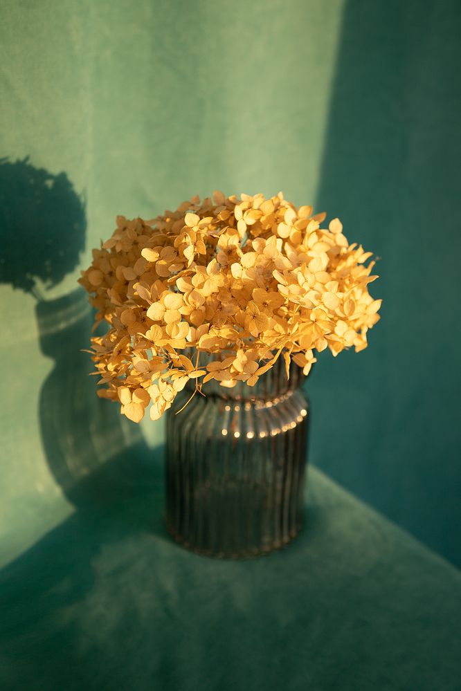 Photograph by Елена Гостева