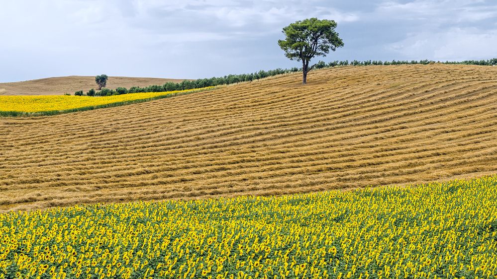 Фотография автора Mehmet Gokyigit