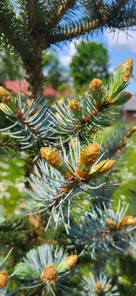 Фотография автора Vadim