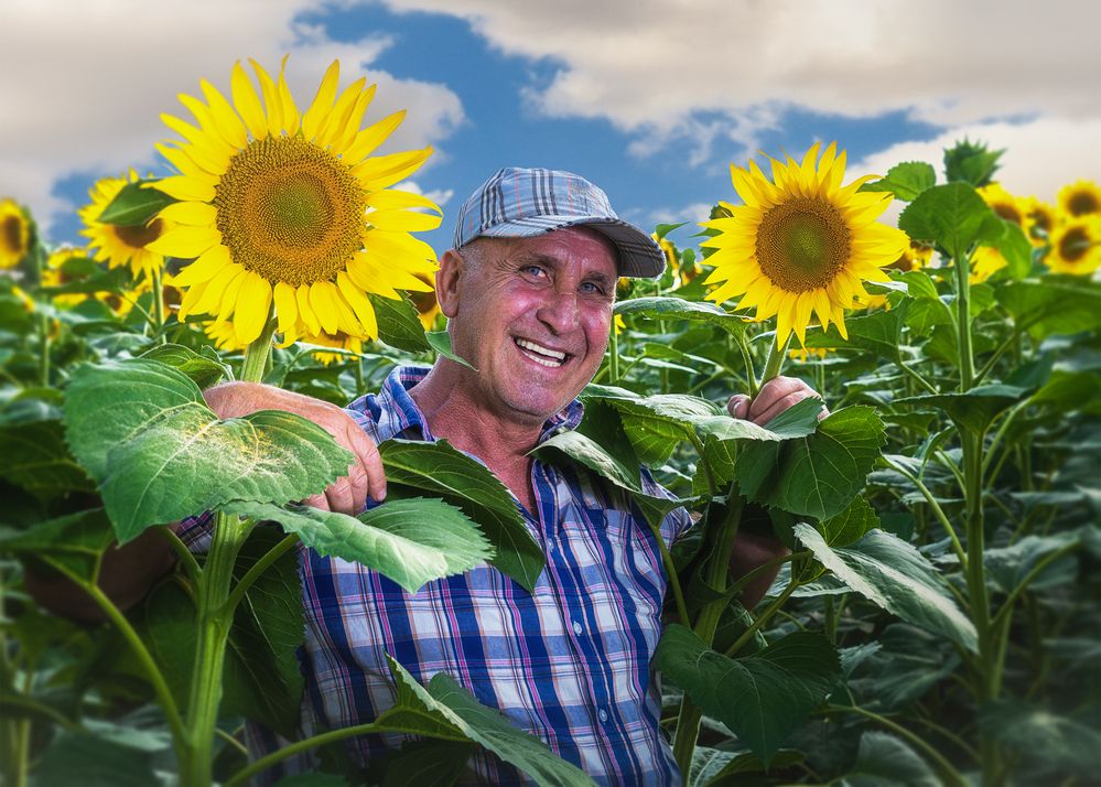 Photograph by PAPKIAURI TORNIKE