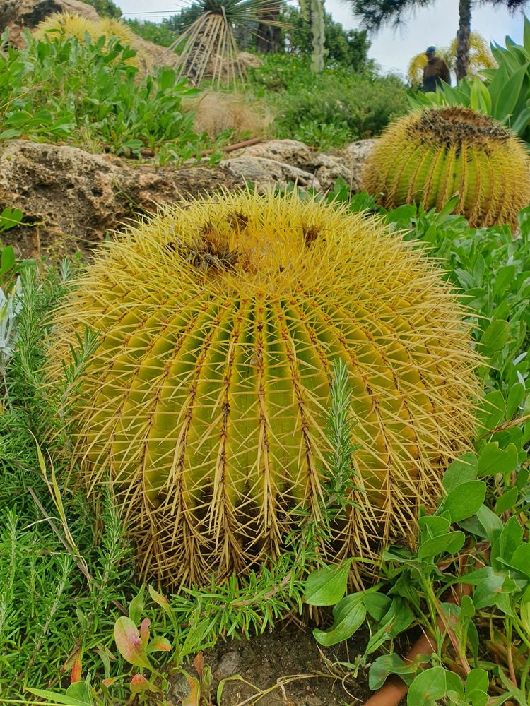 Фотография автора Vadim