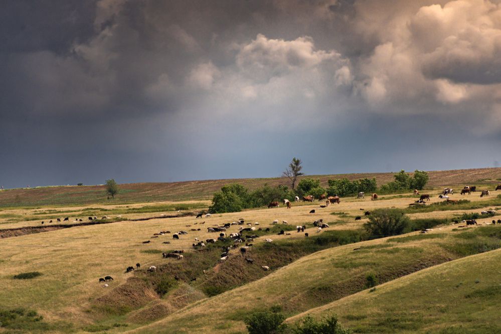 Photograph by Алина Орлова