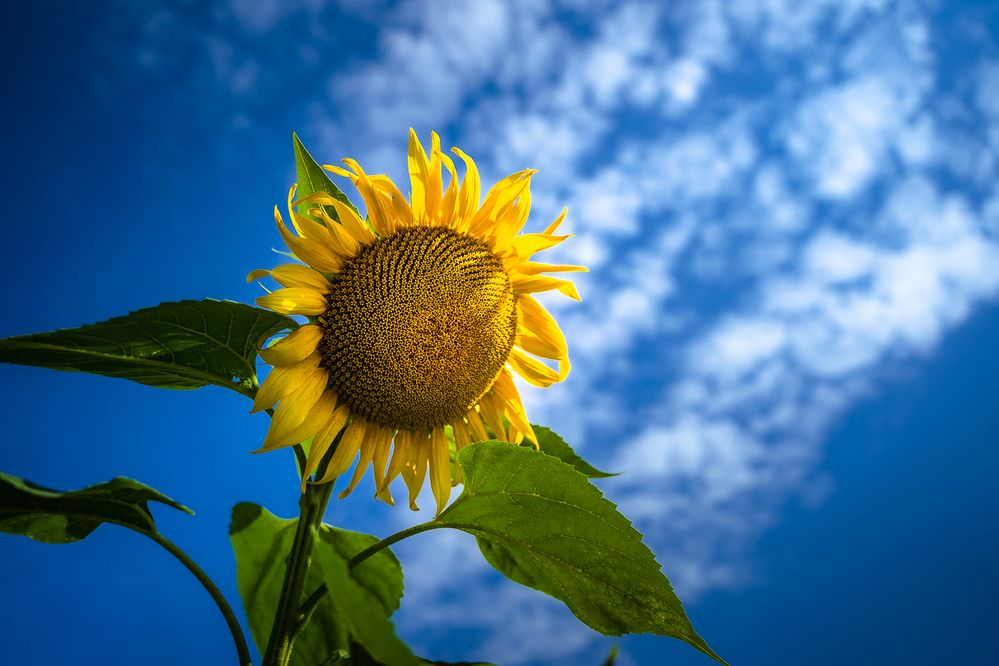 Photograph by PYATNITSKIY ANDREY