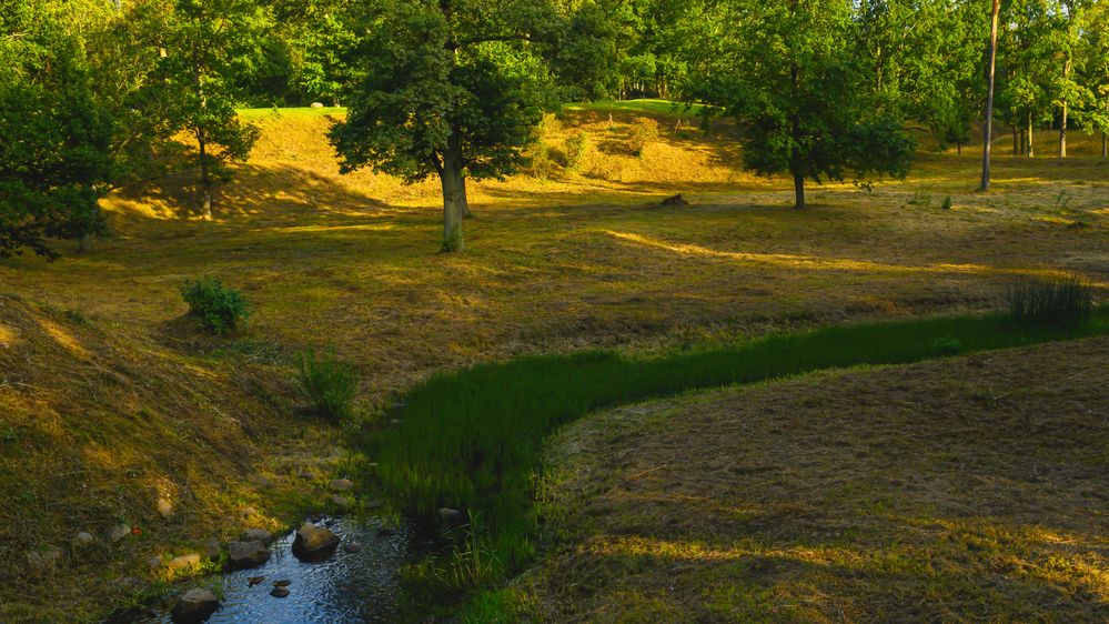 Photograph by Марина Короткова