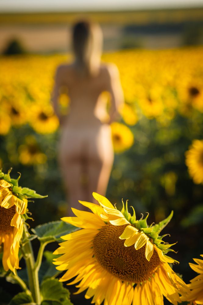 Фотография автора Dmitri Gorbunov