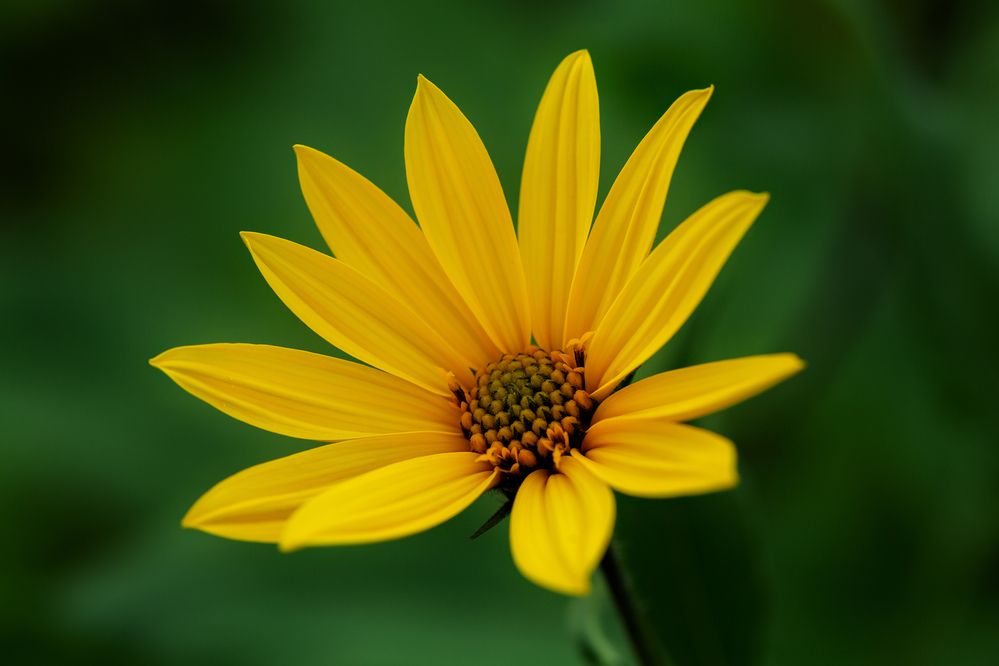 Photograph by Матюхина Наталья