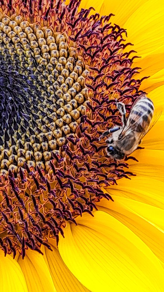 Photograph by MARK ANTHONY SANTOS