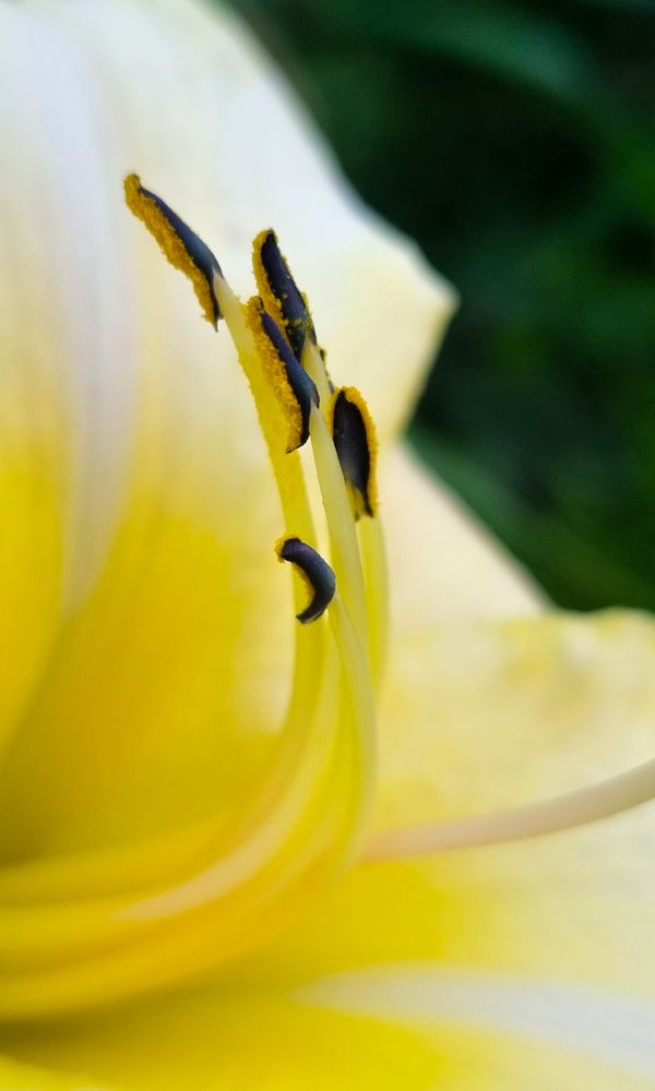 Photograph by Gr Marie