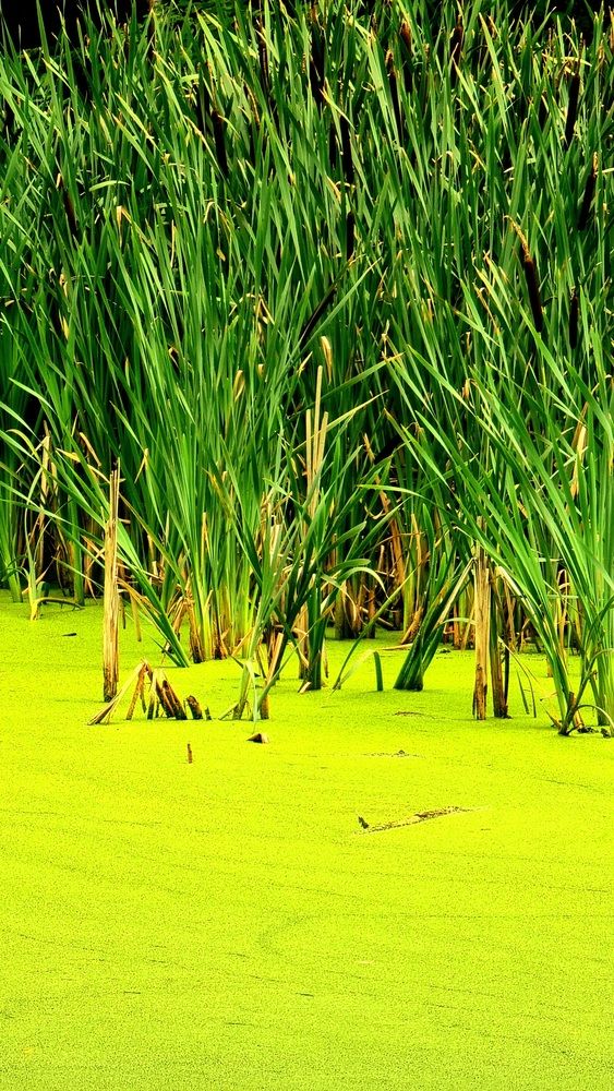 Photograph by Gr Marie